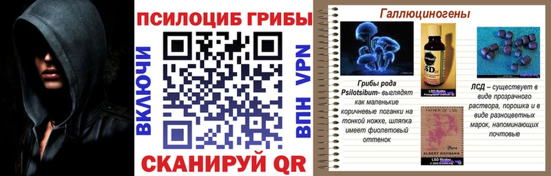 Купить  Гороховец  Галлюциногенные грибы Psilocybine cubensis 