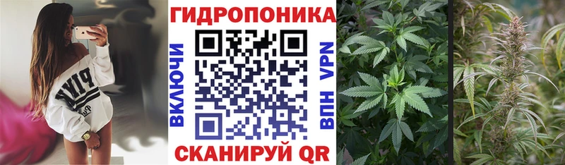 МАРИХУАНА индика  Купить где  Гороховец 